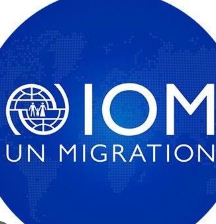UNITED NATIONS INTERNATIONAL ORGANIZATION FOR MIGRATION