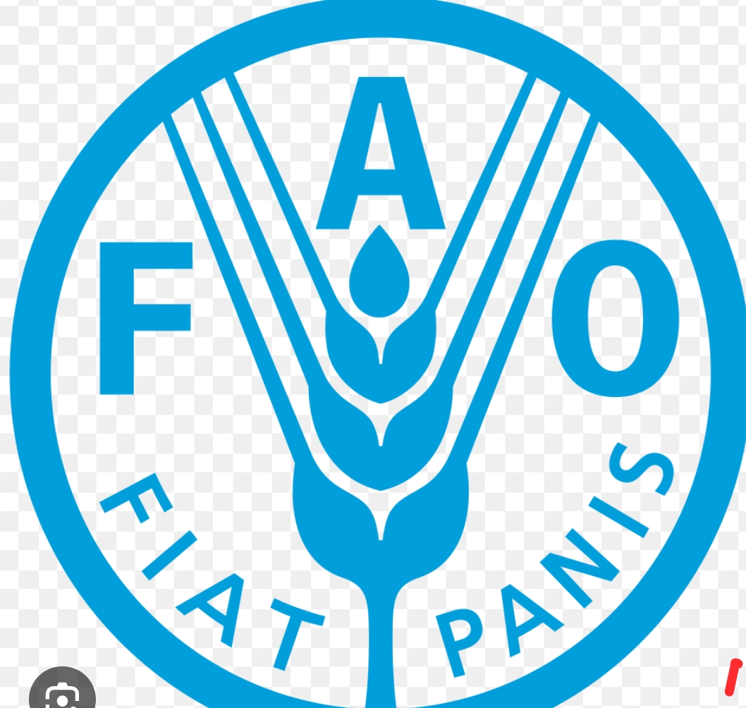 UNITED NATIONS FOOD AND AGRICULTURE ORGANIZATION